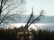 Schwaneninsel: Der Klpinsee in der Usedomer Mitte.