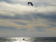 Mit dem Wind ber das Oderhaff: Kiter bei Kamminke.