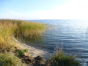 Winziger Sandstrand am Achterwasser: Halbinsel Loddiner Hft.