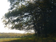 Halbinsel Loddiner Hft: Wunderbare Herbst-Landschaft.