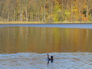 Winterbaden: Bleibt der Kopf warm, ist's ertrglich.