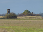 Ansitzjagd: Hgelige Landschaft im Haffland Usedoms.