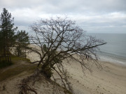 Blick nach Zinnowitz und Trassenheide: Strand von Zempin.