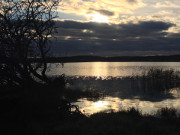 Usedomer Hinterland: Nachmittagssonne auf dem Nepperminer See.