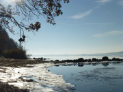 Eis am Peenestrom: Usedomer Halbinsel Gnitz.