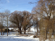 Hinterland der Insel Usedom: Sellin am Schmollensee.