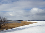 Deich am Peenestrom: Landschaft des Usedomer Inselnordens.