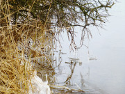 Am Weien Berg auf der Usedomer Halbinsel Gnitz.