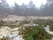 Bäume zerlegen: Aufräumarbeiten am Zempiner Strand.