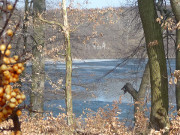 Sanddorn und Eis: Am Wolgastsee im Hinterland der Kaiserbder.