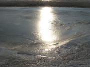 Winter auf Usedom: Eisflche auf dem Ostseestrand.
