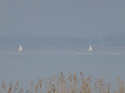 Winter auf Usedom: Eissegler auf dem Achterwasser bei Zinnowitz.