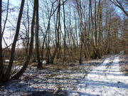 Usedom: Weg am Haff in Richtung Neverow und Bossin.