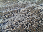 Eiszapfen: Auf dem Ostseestrand der Insel Usedom.