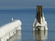 Anleger im Winter: Tauwetter auf Usedom.