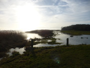 Achterwasser im Gegenlicht: Loddiner Hft.