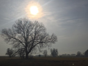 Im Usedomer Haffland: Landschaft sdlich von Stolpe.