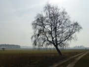 Weites Land: Felder zwischen Stolpe und der Haffkste.