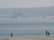 Im Dunst: Seebrcke des Ostseebades Ahlbeck.