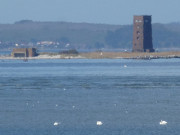 Greifswalder Bodden: Der "Theo" auf der Insel Ruden.