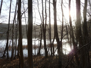 Waldsee bei Korswandt: Der Wolgastsee.