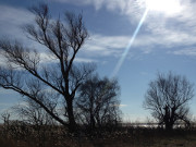 Landschaft am Stettiner Haff: Sdkste der Insel Usedom.