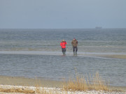 Wattwanderung: Sandbnke vor dem Peenemnder Haken.