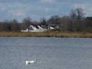 Bernsteinbad Zempin auf Usedom: Ferienhuser am Hafen.