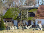 Findlinge im Garten: Bauerngarten in Morgenitz.