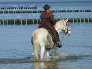 Zu Pferd in die Ostsee: Am Strand von Stubbenfelde.