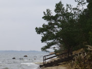 Am Weien Berg: Strand an der Halbinsel Gnitz.