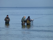 Angeln auf Usedom: Mit der Wathose in die Ostsee.