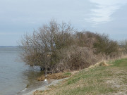 Am Konker Berg: Achterwasser bei Pudagla.