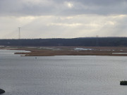 Blick nach Wolgast: Schilfinseln im Peenestrom.