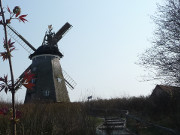 Mhlenberg: Hollnderwindmhle in der Nhe von Benz.