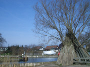 Bernsteinbad Zempin: Am Achterwasserhafen.