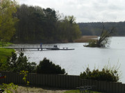 Schwaneninsel: Die Weide im Klpinsee hat Schlagseite.