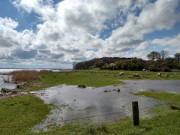 Am Achterwasser: Ostkste der Halbinsel Loddiner Hft.