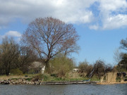 Huser am Hafen: Idyll am Achterwasser auf dem Lieper Winkel.