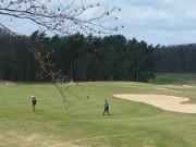 Golfplatz in der Nhe des Wolgastsees: Bunker und Green.