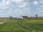 Felder und Wiesen am Peenestrom: Blick nach Ziemitz.