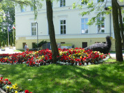 Gartenkunst in Misdroy: Pfau mit Federschleppe.