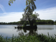 Schwaneninsel im Klpinsee: Am Kstenradweg.