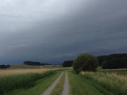 Deichweg an der Melle: Regenwetter in Loddin.