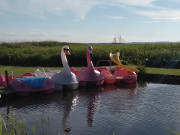 Bootsverleih am Achterwasser: Segelschiff und Tretboote.