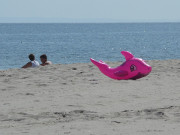 Badetier am Streckelsberg: Urlaub an der Ostsee.