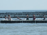 Erfrischung in der Ostsee: Sommerferien am Meer.