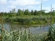 Wocknisee in der Nhe des Seebades ckeritz: Usedomer Inselmitte.