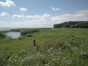 Achterwasser: Ostkste der Usedomer Halbinsel Loddiner Hft.