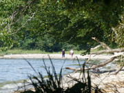 Strandwanderung: Kamminke an der Haffkste Usedoms.